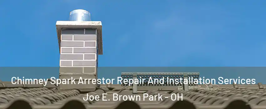 Chimney Spark Arrestor Repair And Installation Services Joe E. Brown Park - OH