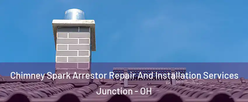 Chimney Spark Arrestor Repair And Installation Services Junction - OH