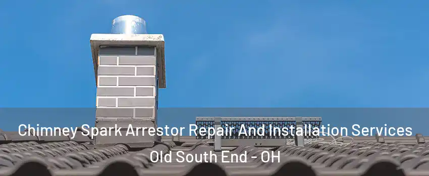 Chimney Spark Arrestor Repair And Installation Services Old South End - OH