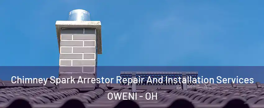 Chimney Spark Arrestor Repair And Installation Services OWENI - OH