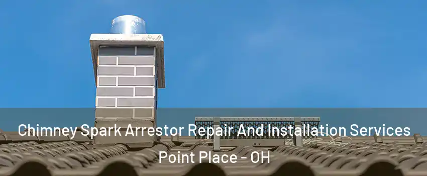 Chimney Spark Arrestor Repair And Installation Services Point Place - OH