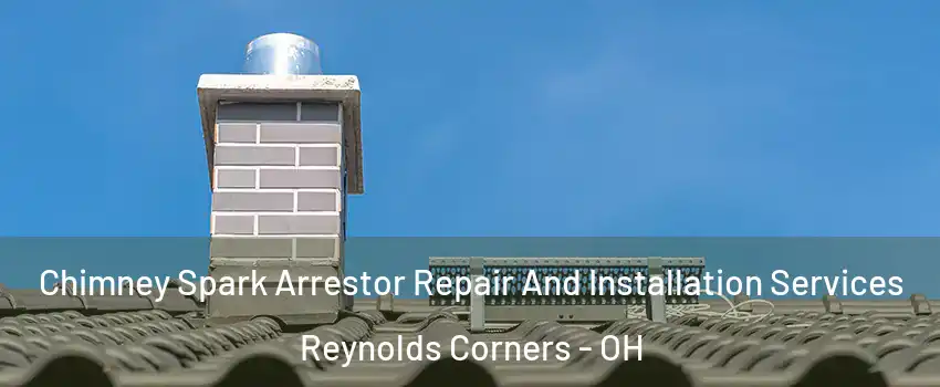 Chimney Spark Arrestor Repair And Installation Services Reynolds Corners - OH