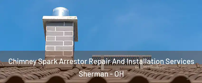 Chimney Spark Arrestor Repair And Installation Services Sherman - OH