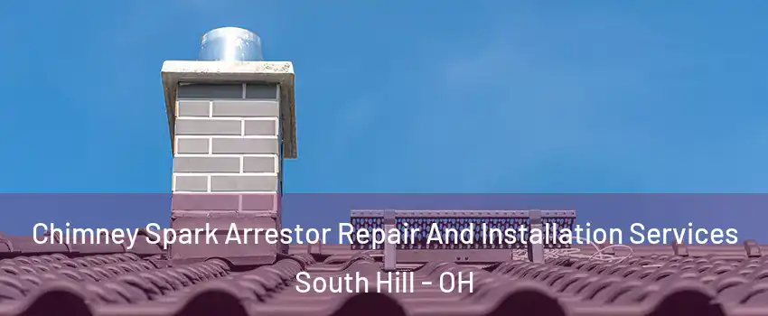 Chimney Spark Arrestor Repair And Installation Services South Hill - OH