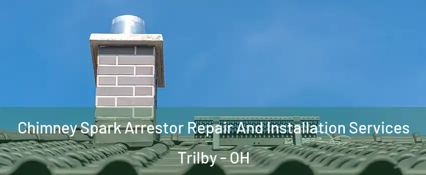 Chimney Spark Arrestor Repair And Installation Services Trilby - OH