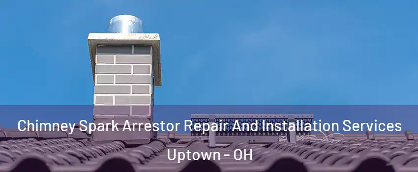 Chimney Spark Arrestor Repair And Installation Services Uptown - OH