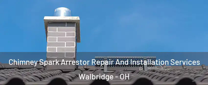 Chimney Spark Arrestor Repair And Installation Services Walbridge - OH