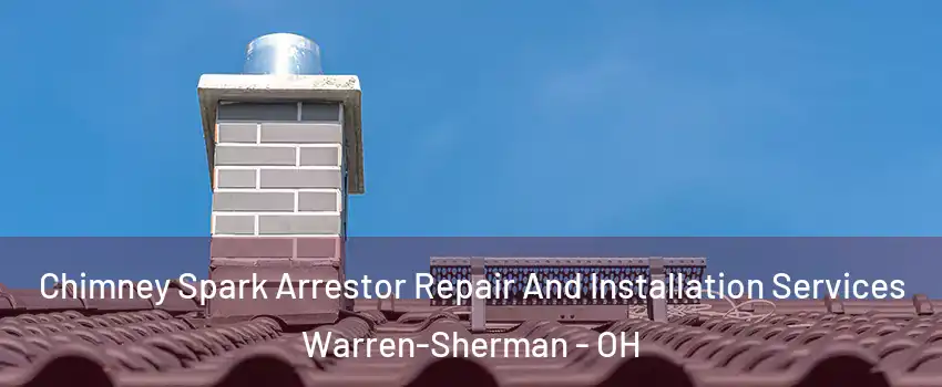 Chimney Spark Arrestor Repair And Installation Services Warren-Sherman - OH