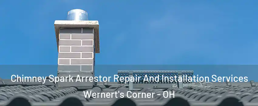 Chimney Spark Arrestor Repair And Installation Services Wernert's Corner - OH