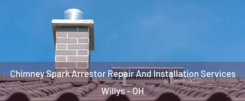 Chimney Spark Arrestor Repair And Installation Services Willys - OH