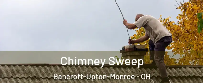 Chimney Sweep Bancroft-Upton-Monroe - OH