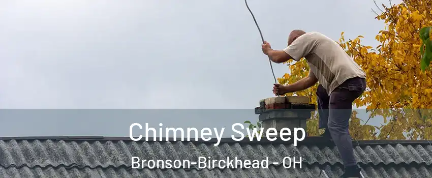 Chimney Sweep Bronson-Birckhead - OH
