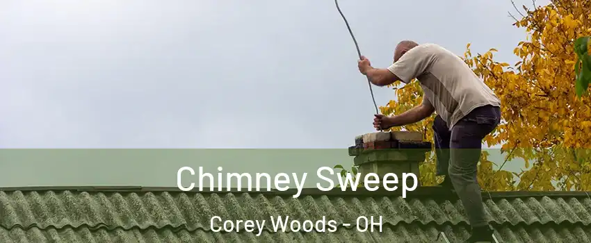 Chimney Sweep Corey Woods - OH