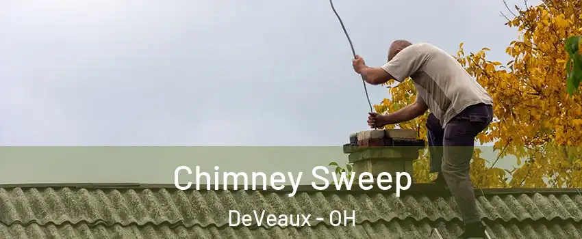 Chimney Sweep DeVeaux - OH