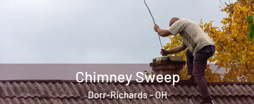 Chimney Sweep Dorr-Richards - OH