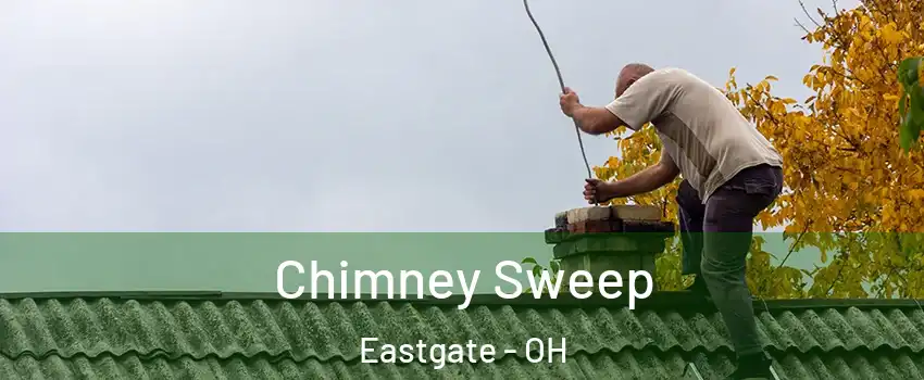 Chimney Sweep Eastgate - OH