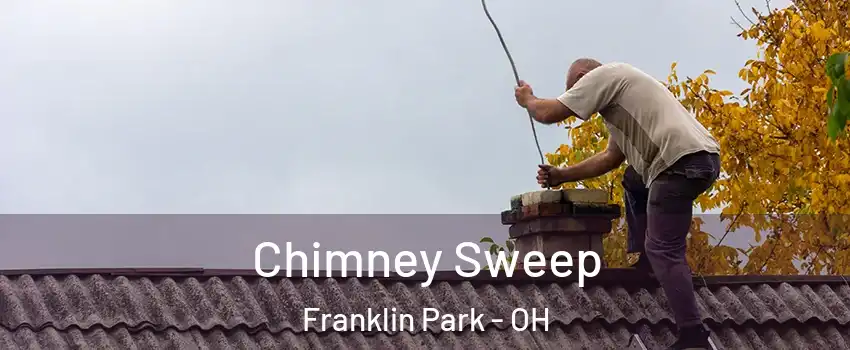 Chimney Sweep Franklin Park - OH