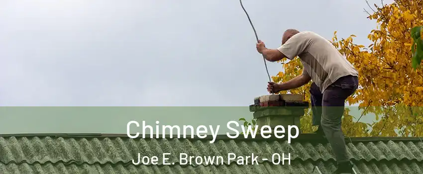 Chimney Sweep Joe E. Brown Park - OH