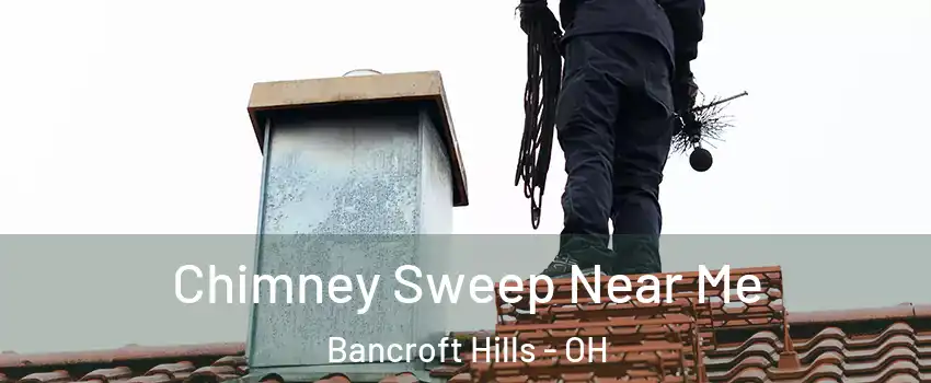 Chimney Sweep Near Me Bancroft Hills - OH