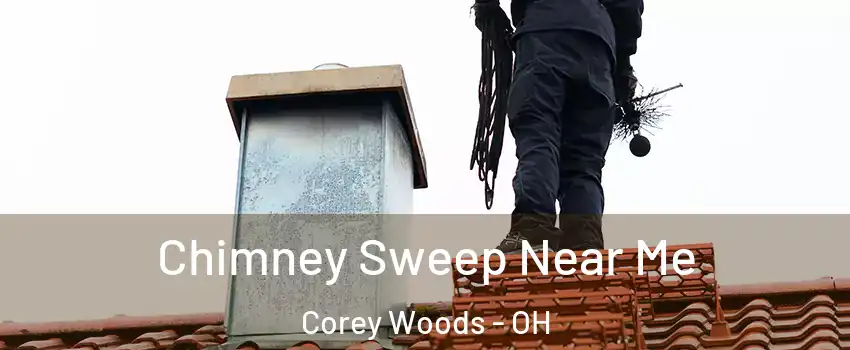 Chimney Sweep Near Me Corey Woods - OH