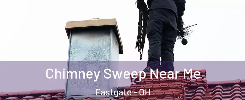 Chimney Sweep Near Me Eastgate - OH