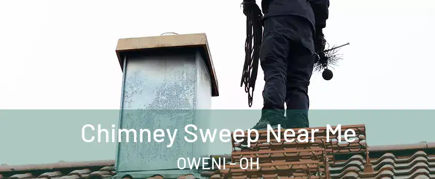 Chimney Sweep Near Me OWENI - OH