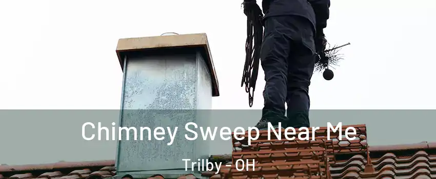 Chimney Sweep Near Me Trilby - OH