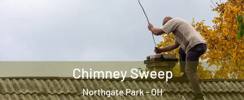 Chimney Sweep Northgate Park - OH
