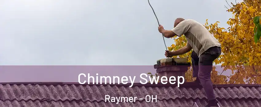 Chimney Sweep Raymer - OH