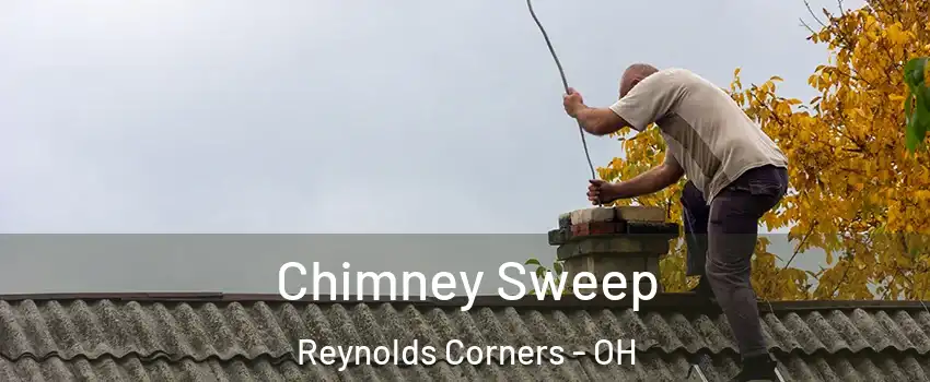 Chimney Sweep Reynolds Corners - OH
