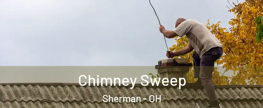Chimney Sweep Sherman - OH