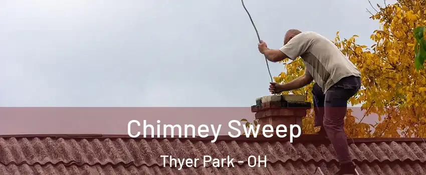 Chimney Sweep Thyer Park - OH