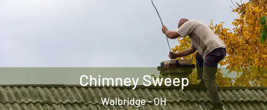 Chimney Sweep Walbridge - OH