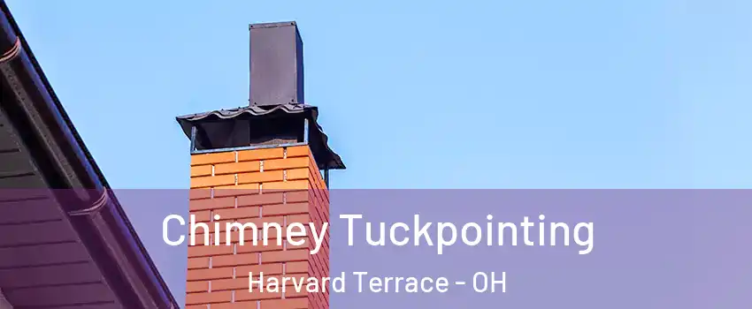 Chimney Tuckpointing Harvard Terrace - OH