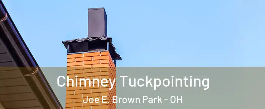 Chimney Tuckpointing Joe E. Brown Park - OH