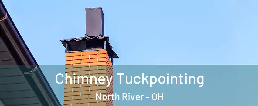 Chimney Tuckpointing North River - OH