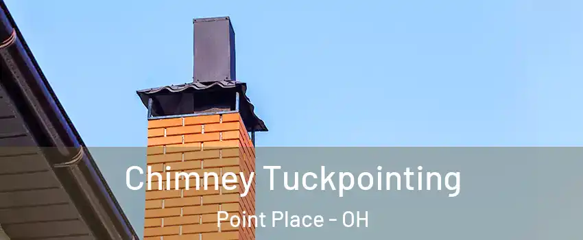 Chimney Tuckpointing Point Place - OH