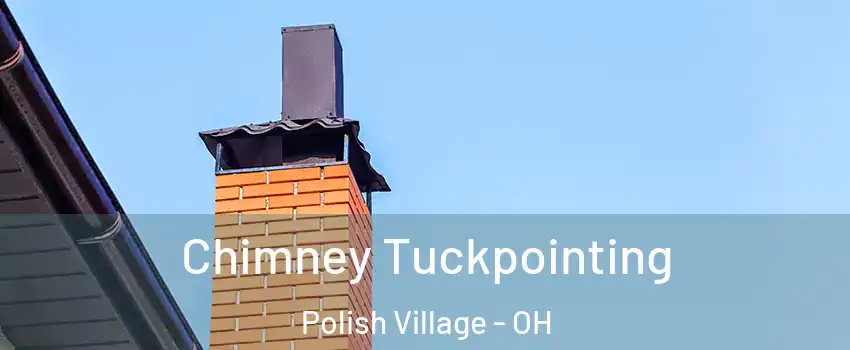Chimney Tuckpointing Polish Village - OH
