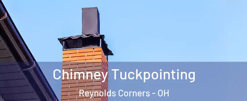Chimney Tuckpointing Reynolds Corners - OH