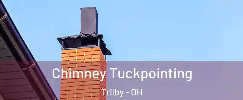 Chimney Tuckpointing Trilby - OH