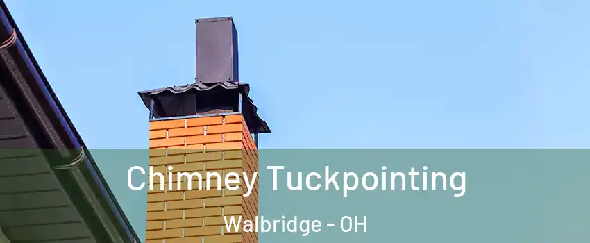 Chimney Tuckpointing Walbridge - OH
