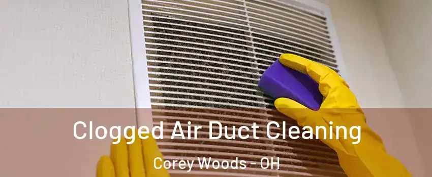 Clogged Air Duct Cleaning Corey Woods - OH