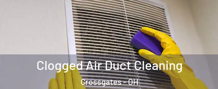 Clogged Air Duct Cleaning Crossgates - OH