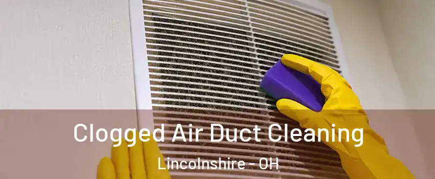 Clogged Air Duct Cleaning Lincolnshire - OH