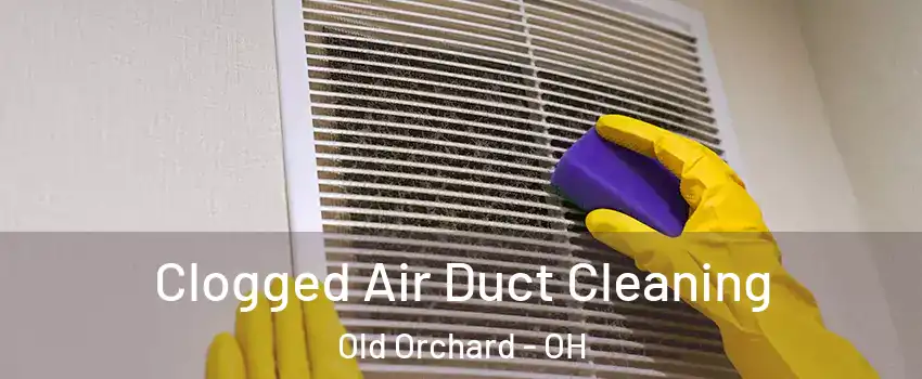 Clogged Air Duct Cleaning Old Orchard - OH