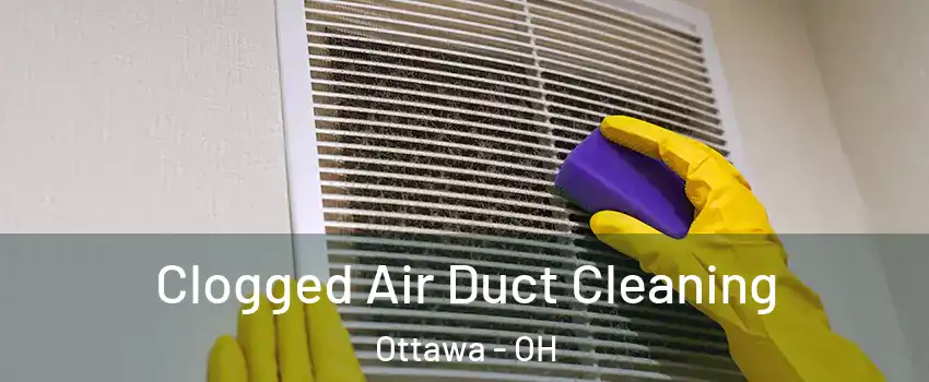 Clogged Air Duct Cleaning Ottawa - OH