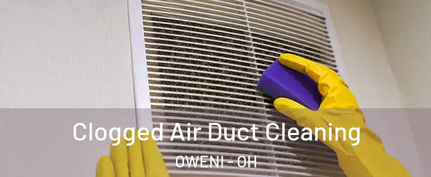Clogged Air Duct Cleaning OWENI - OH