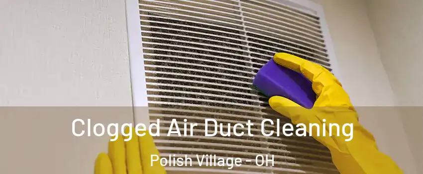 Clogged Air Duct Cleaning Polish Village - OH
