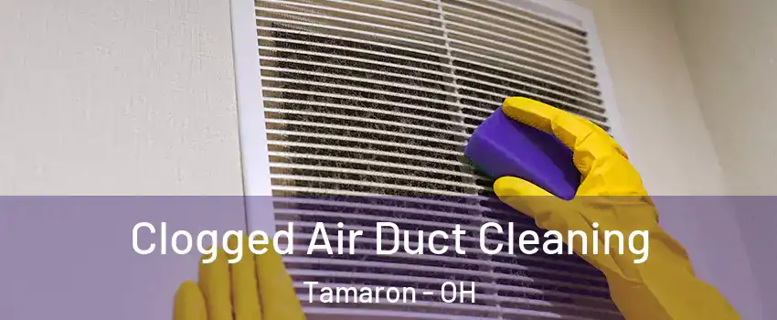 Clogged Air Duct Cleaning Tamaron - OH
