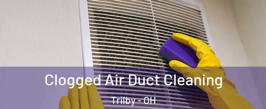 Clogged Air Duct Cleaning Trilby - OH